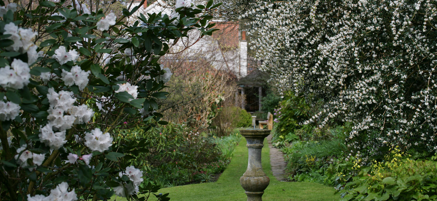 main_branklyn-garden_rhododendron_sundial_0118_3b94b423780d31ed0ac08f24293947fb.jpg