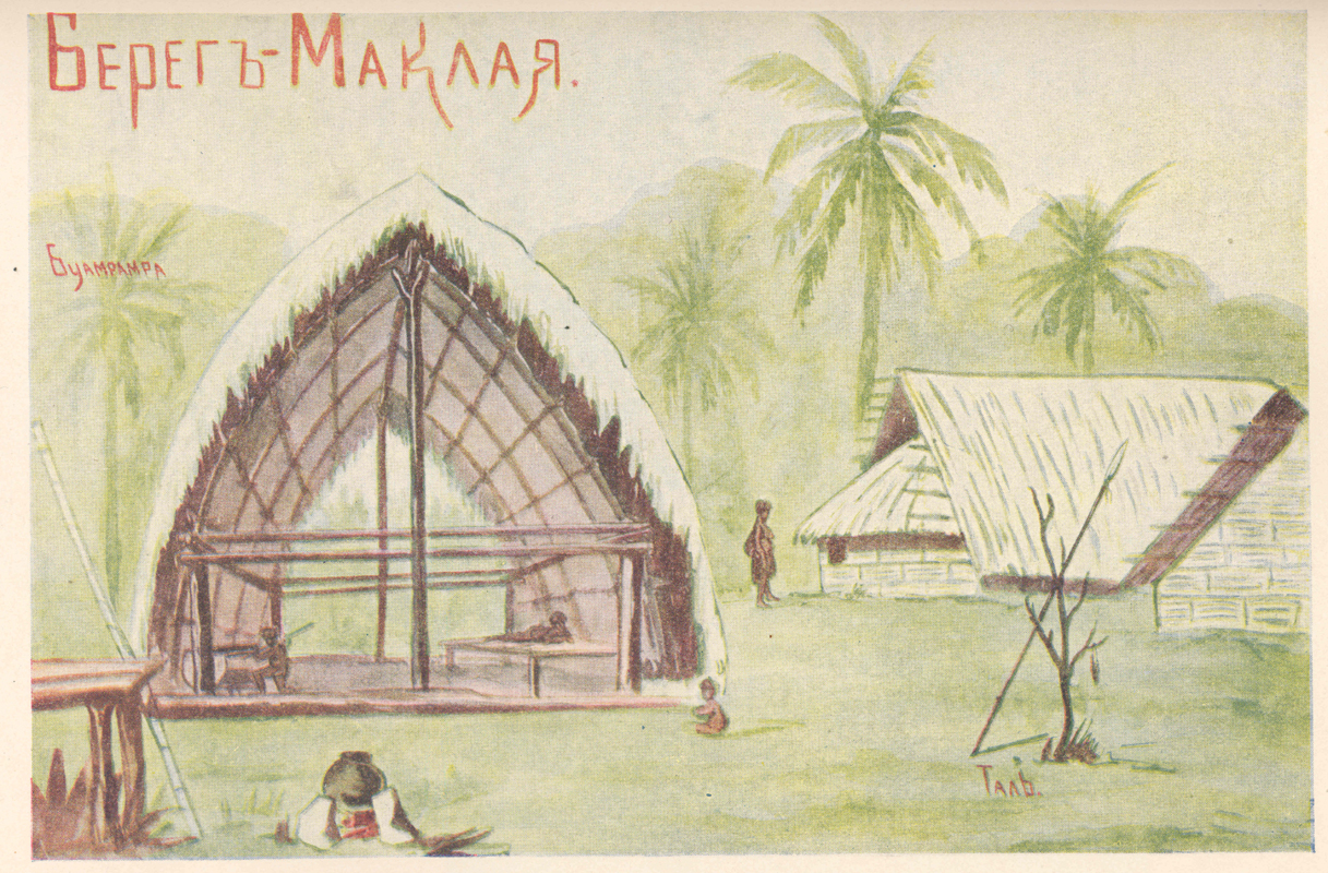 Maklay's_coast.jpg