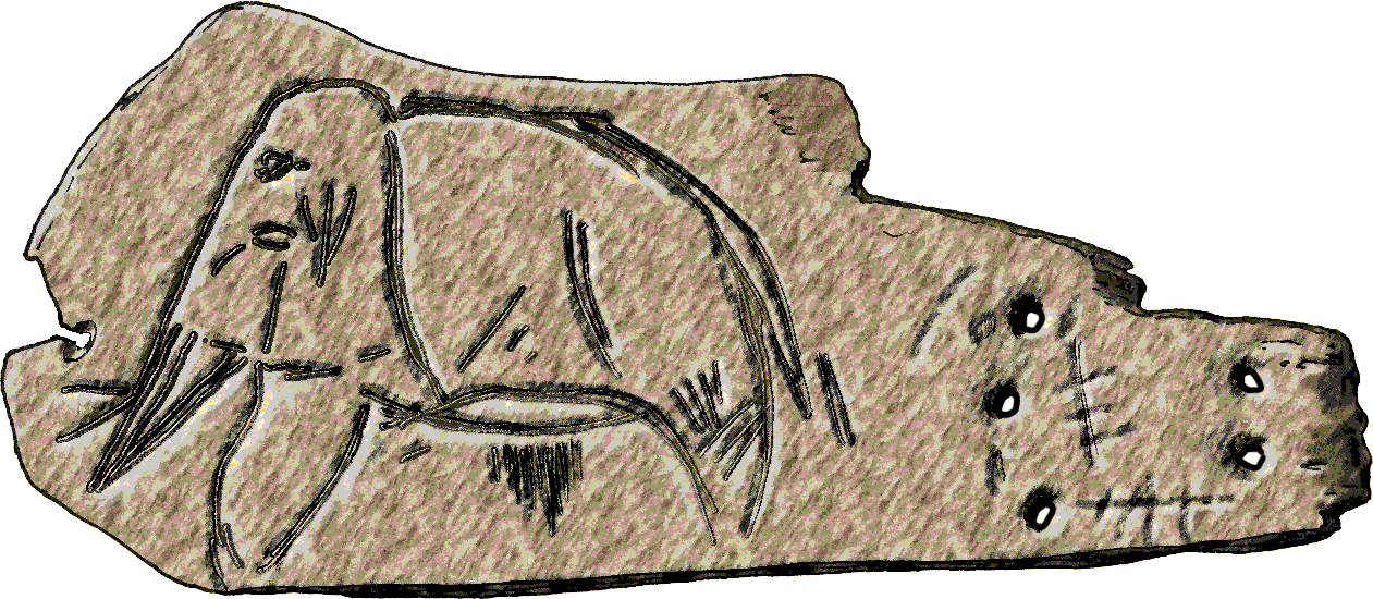 Mal'ta_(mamut).gif