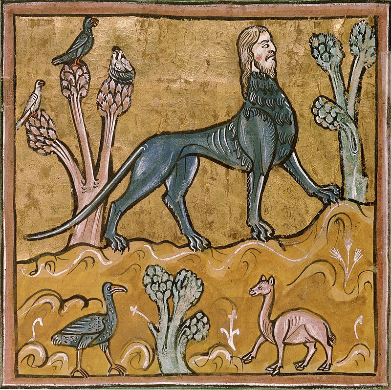 Manticore_-_British_Library_Royal_12_F_xiii_f24v_(detail).jpg