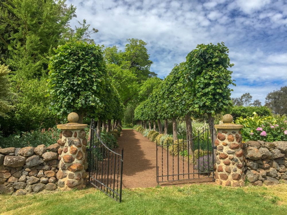 Mawallok_Tilia_walk.jpg