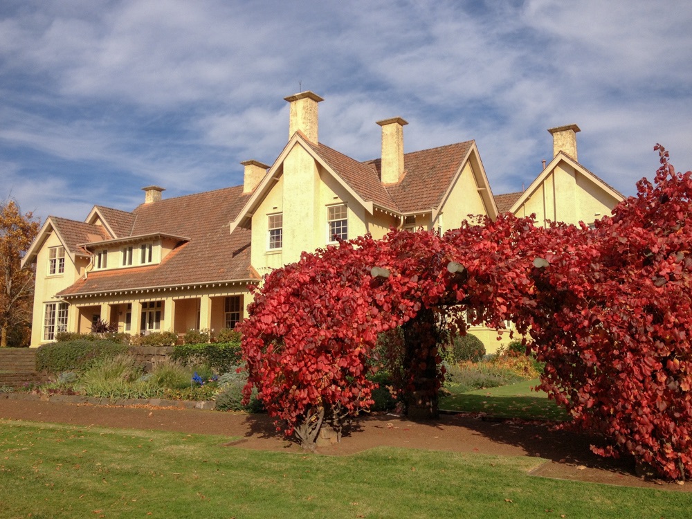 Mawllok_house_autumn_pergola.jpg