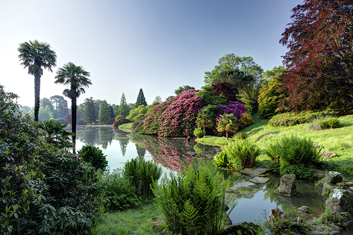 Middle-lake-at-Sheffield-Park.-Credit-NT-Images-John-Miller.jpg