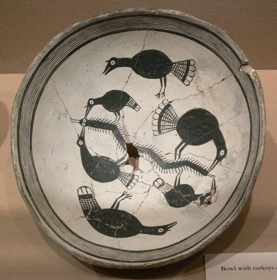 Mimbres_Bowl_with_turkeys_and_centipede_DMA_1988-99-FA.jpg