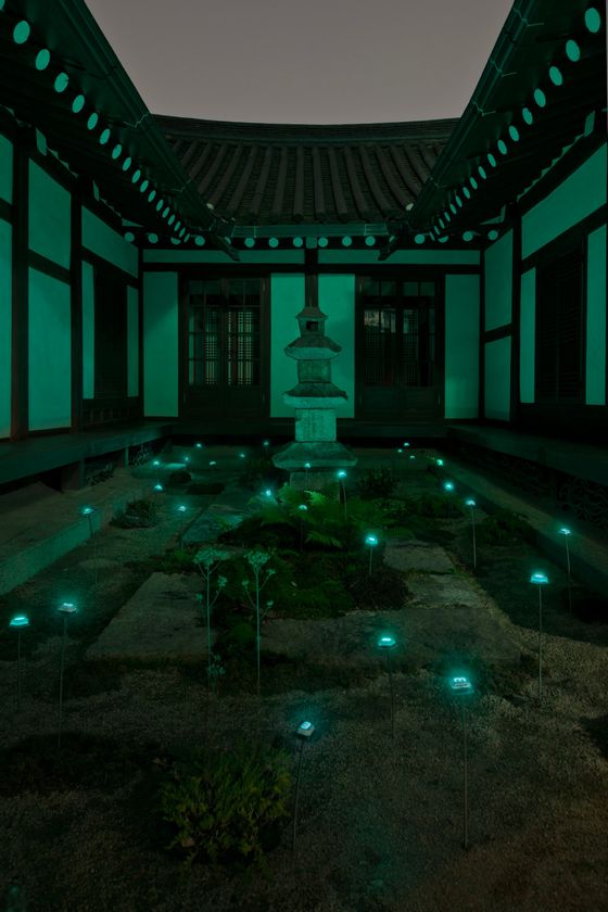 miyajima_20_OMO9098_t_560.jpg