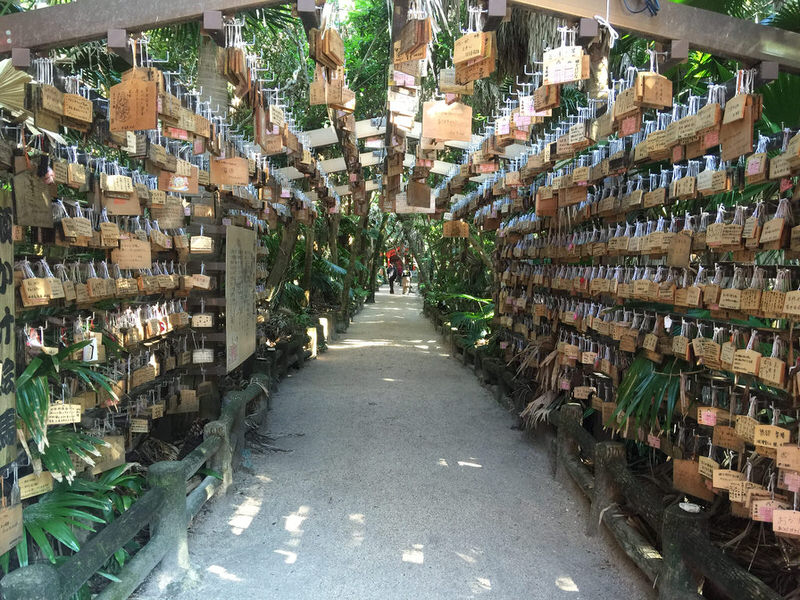 miyazaki-aoshima-jinja-shrine.jpg