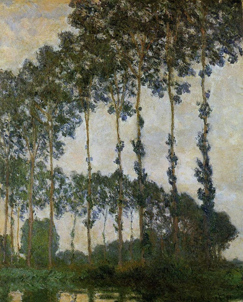 Monet_Poplars-at-giverny_MOA_W1291.jpg