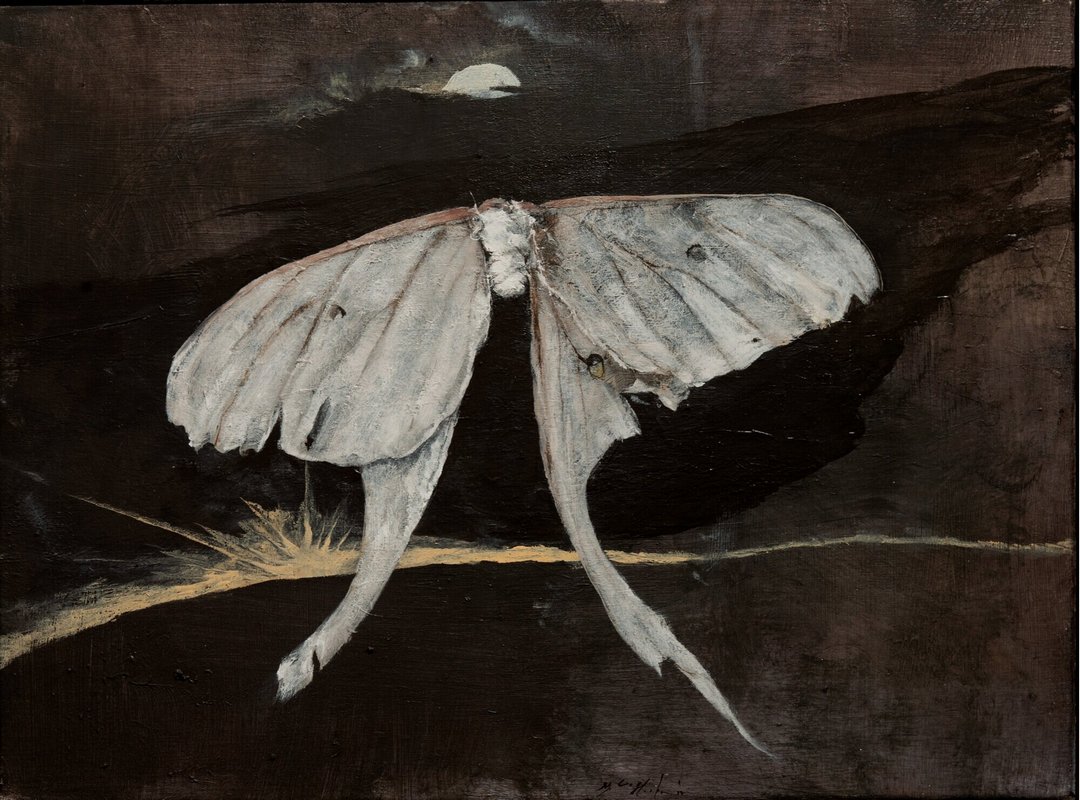 moth2р.jpg