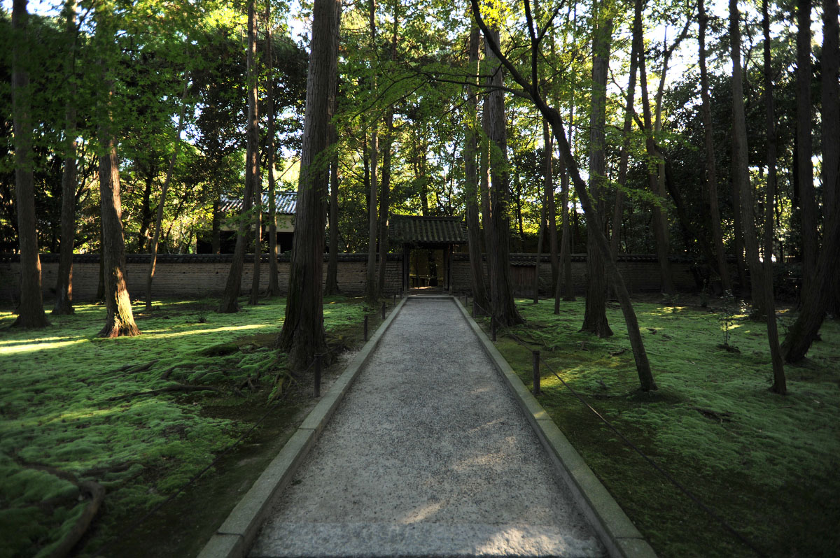 mud_and_moss_toshodaiji_nara_7143.jpg