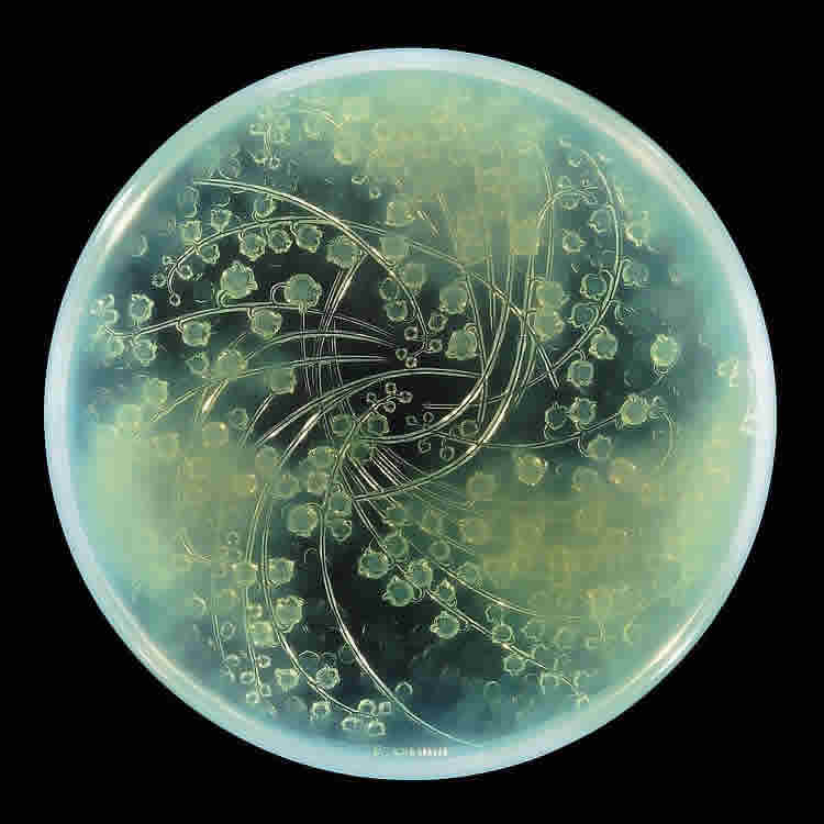 muguets-rene-lalique-covered-box-12-9-10.jpg
