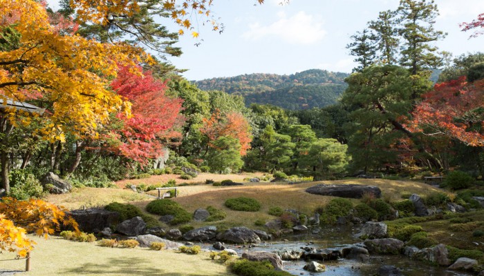 murinan-01-700x400.jpg