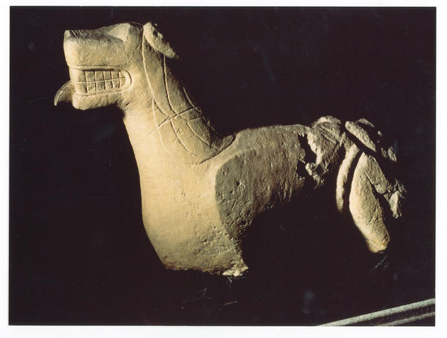 mus068.jpg
