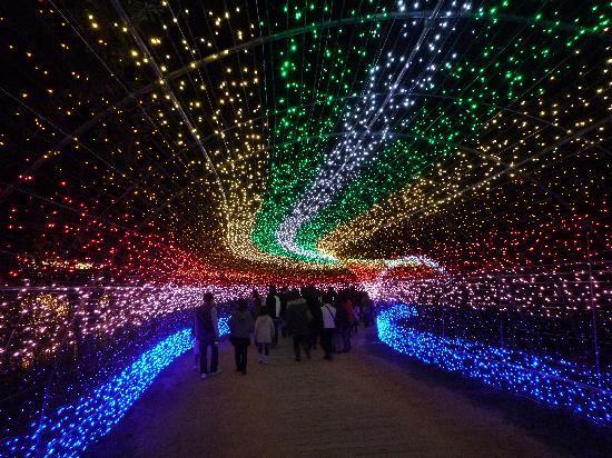NABANA NO SATOillumination15.jpg