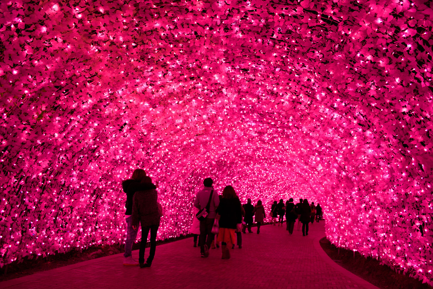 NABANA NO SATOKawazu-Sakura-Light-Tunnel.jpg