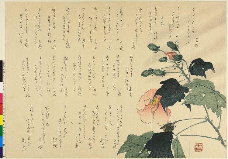 Nakajima RaishoAN00612208_001_l.jpg
