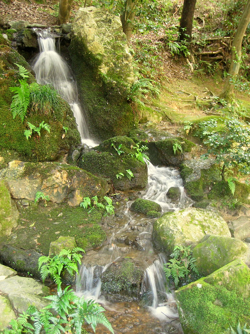 Nanzen-in_-_Nanzenji_-_IMG_5387.JPG
