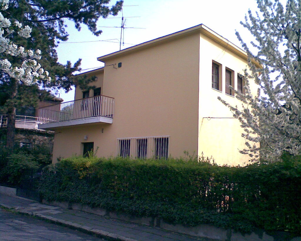 Napraforgo1.jpg
