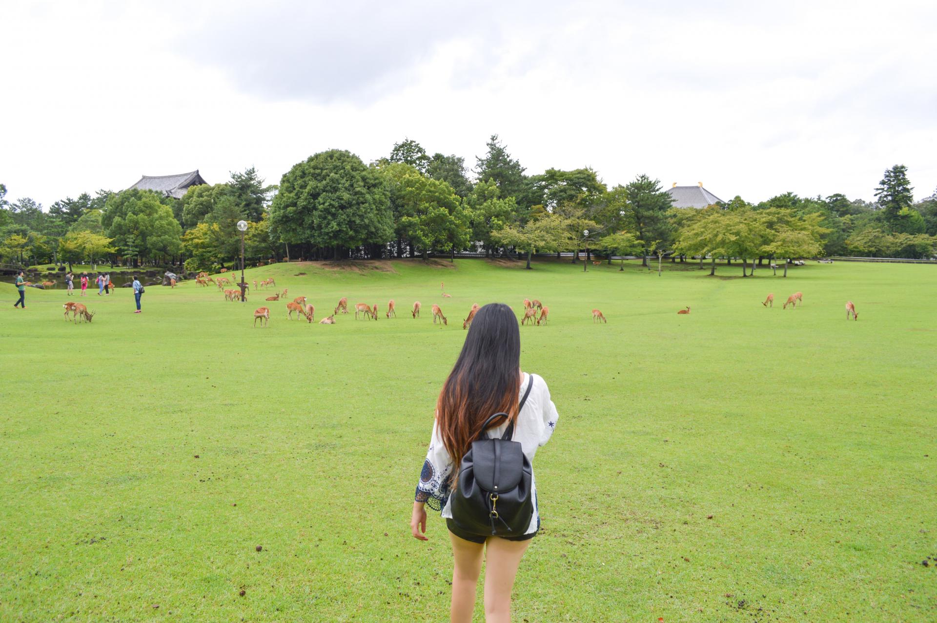 Nara-Park-01.jpg