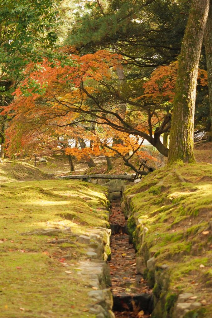 Nara-Park-Gardens-680x1020.jpg