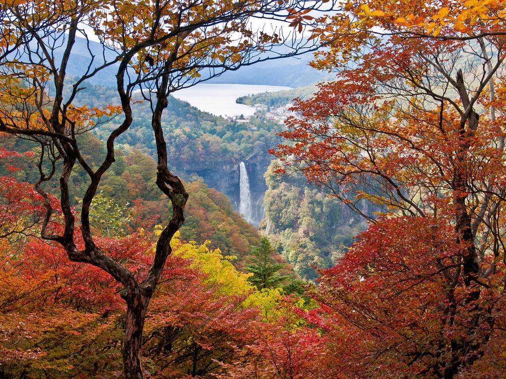 natsionalnyy-park-nikko_73.jpg