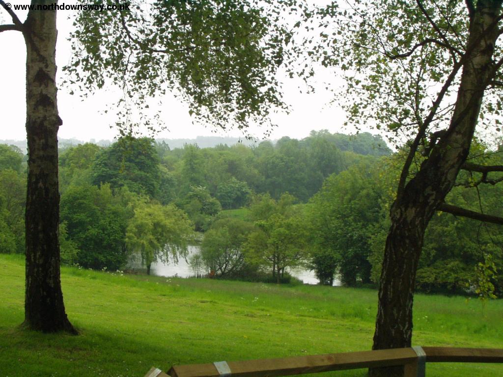 ndw_boxhill_13.jpg