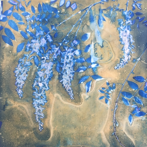 Neblina-Azul-1-cyanotype-20_x20_.jpeg