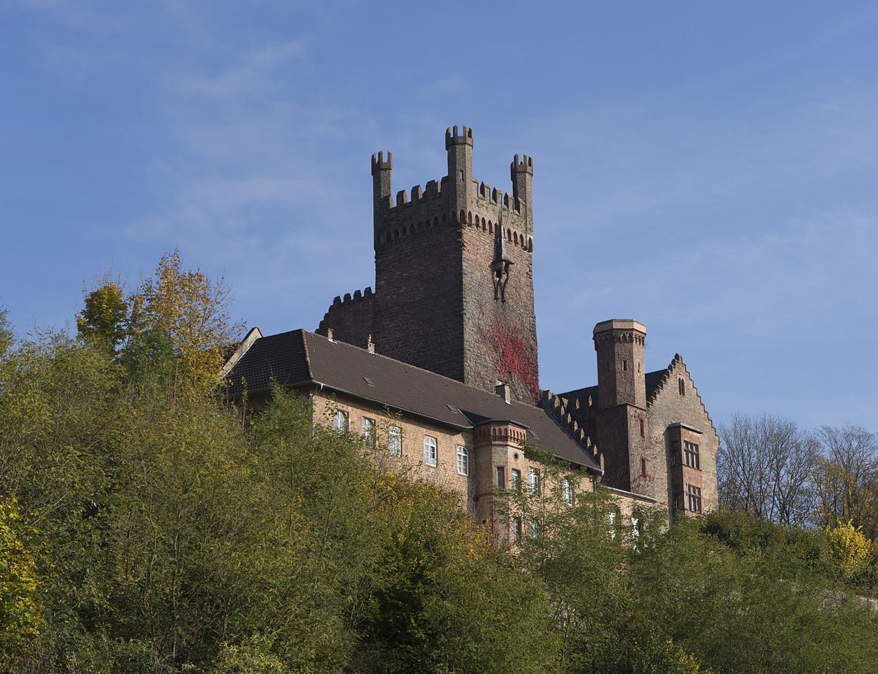 Nestei141102-004.jpg