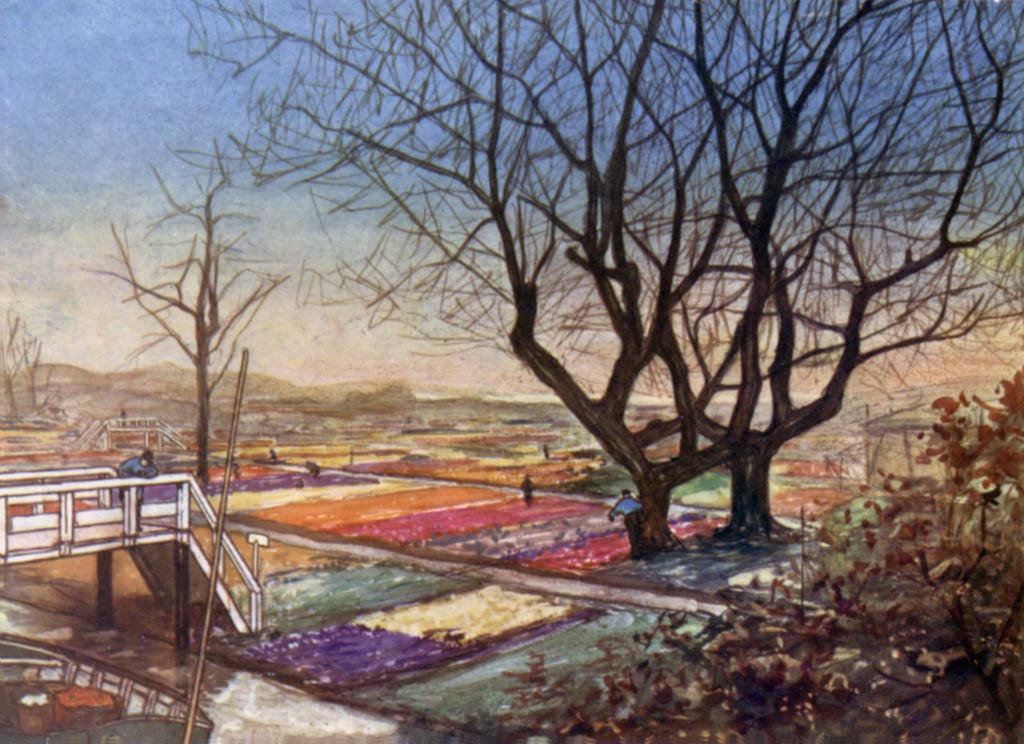 Nico Jungman - The Tulip-fields Haarlem - (MeisterDrucke-630769).jpg