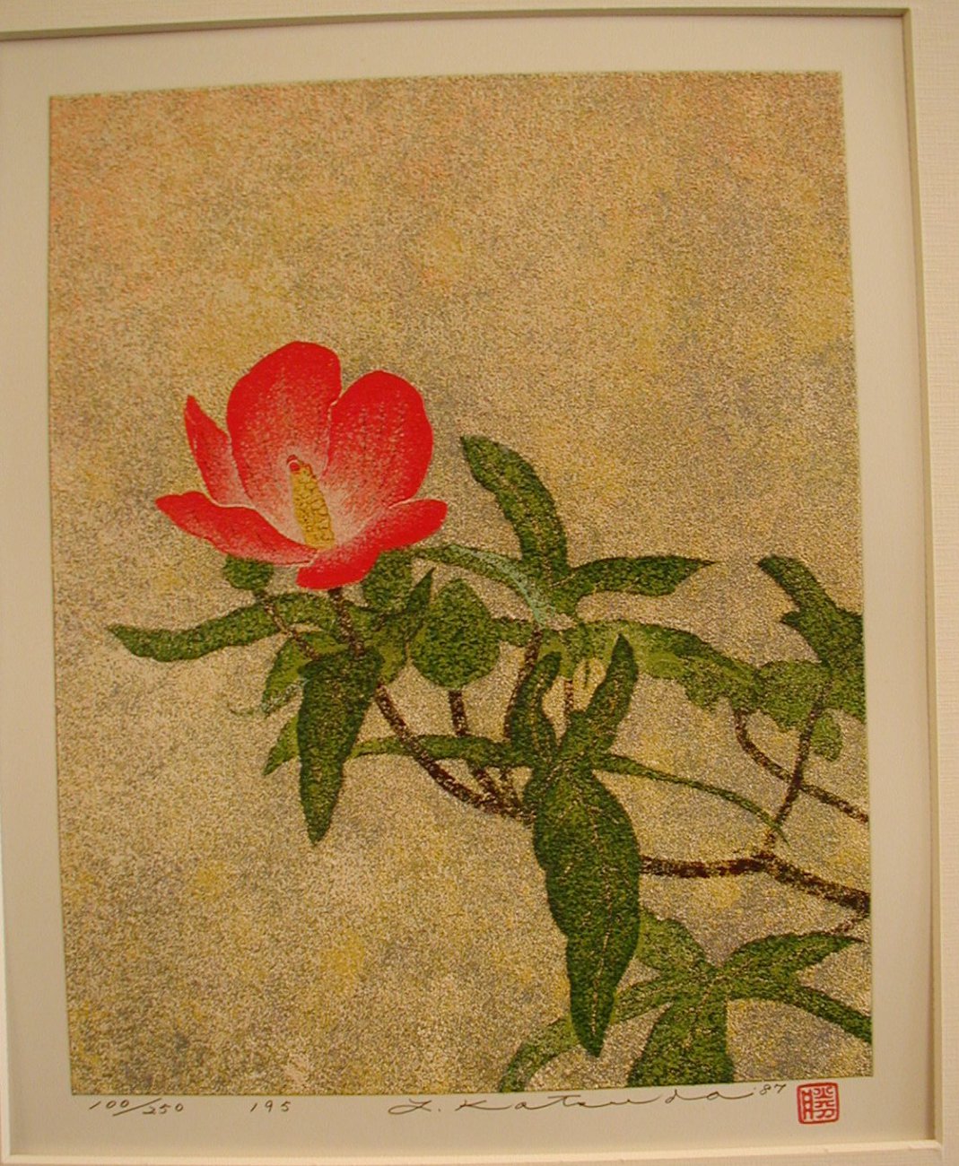 No. 195 Benibana Wata (Red Flower Cotton). '84.JPG