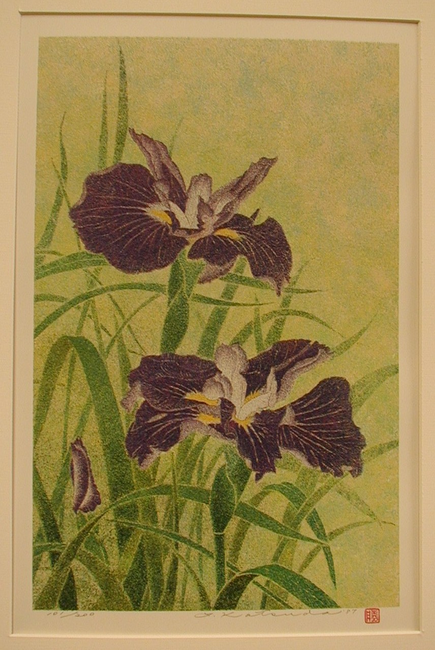 No. 205-Irises..JPG