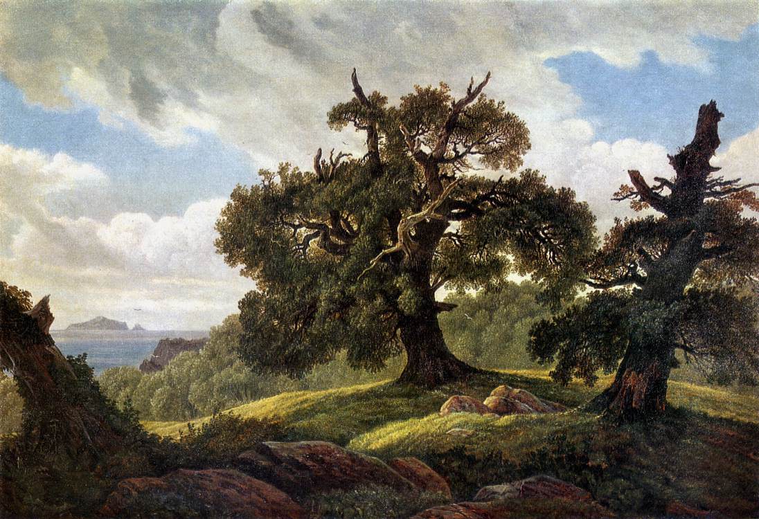 oaks_sea.jpg