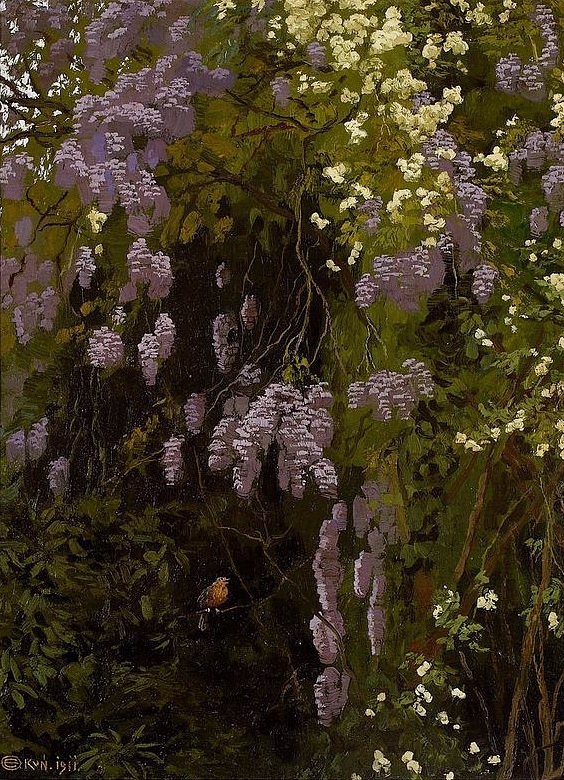 Okuń_Wisteria_in_bloom.jpg