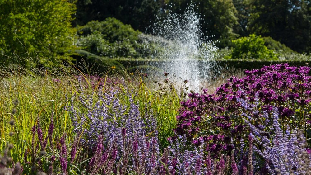 Oudolf+Perennial+Meadow+and+Fountain+at+Scampston+Hall+Walled+Garden..jpg