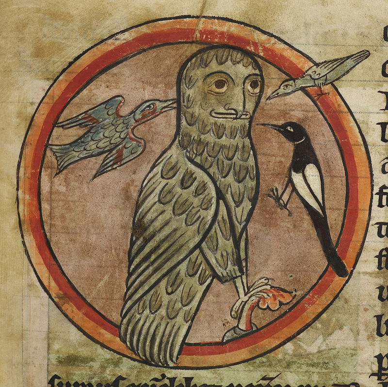 Owl_mobbed_by_smaller_birds_-_Bestiary_(1230-1240),_f.47_-_BL_Harley_MS_4751.jpg