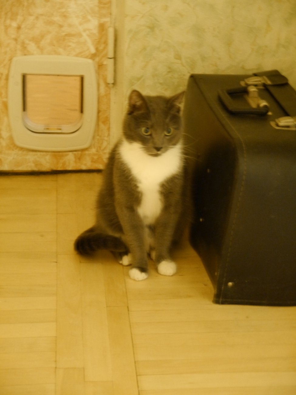 P1000015.JPG