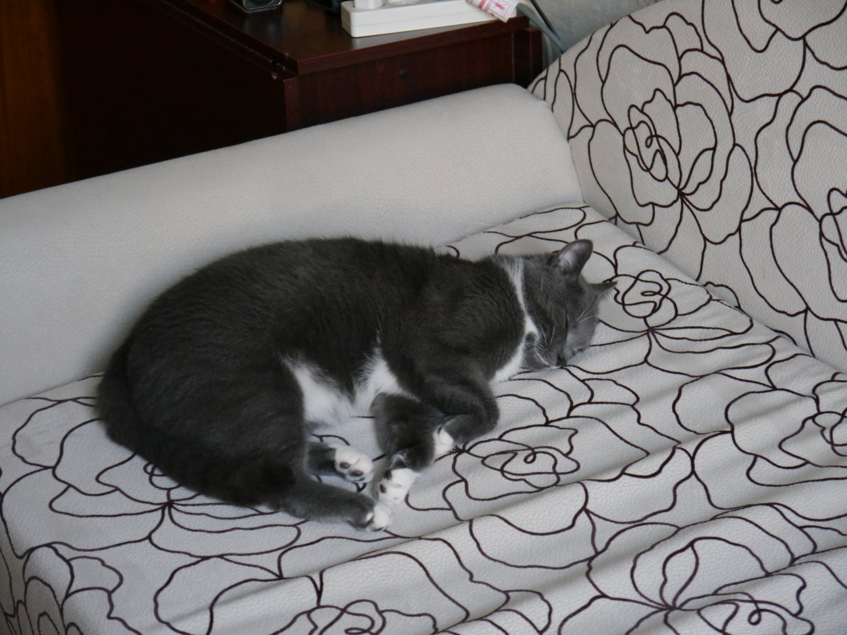 P1000396.JPG