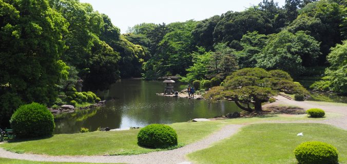 P1010009-19-676x320.jpg