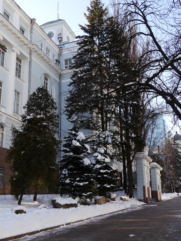P1010060.jpg