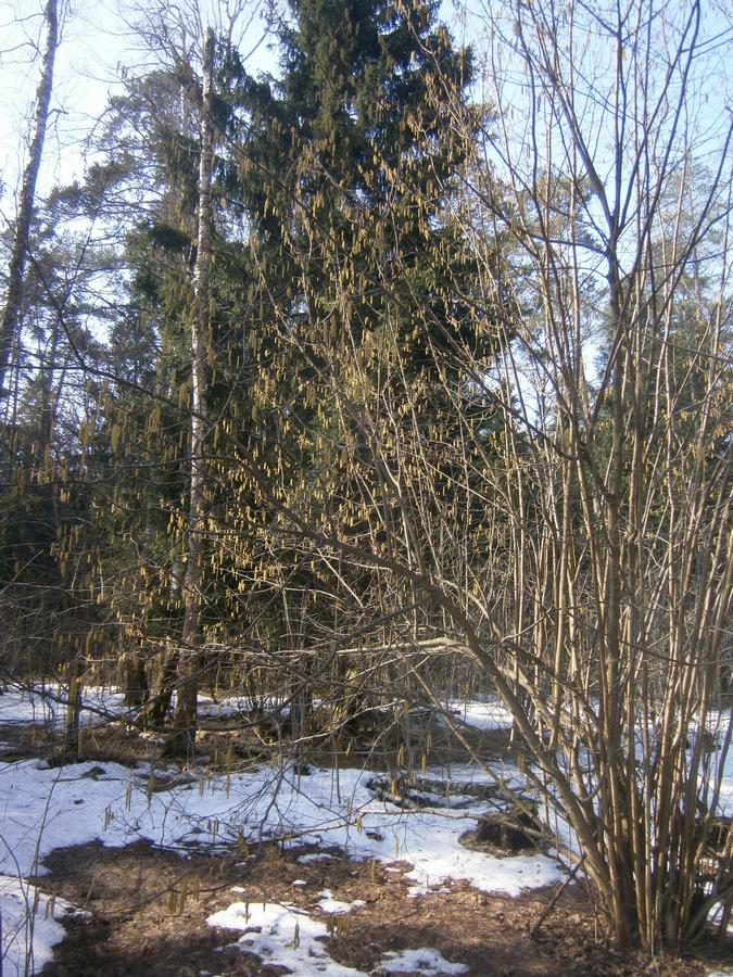 P1072930gf.jpg