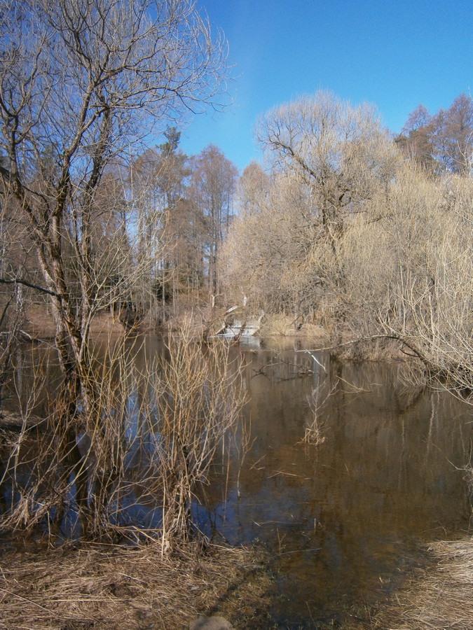 P1125008.JPG