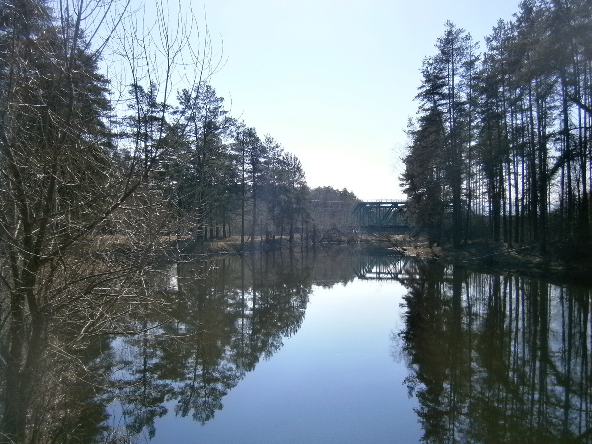 P1125032.JPG