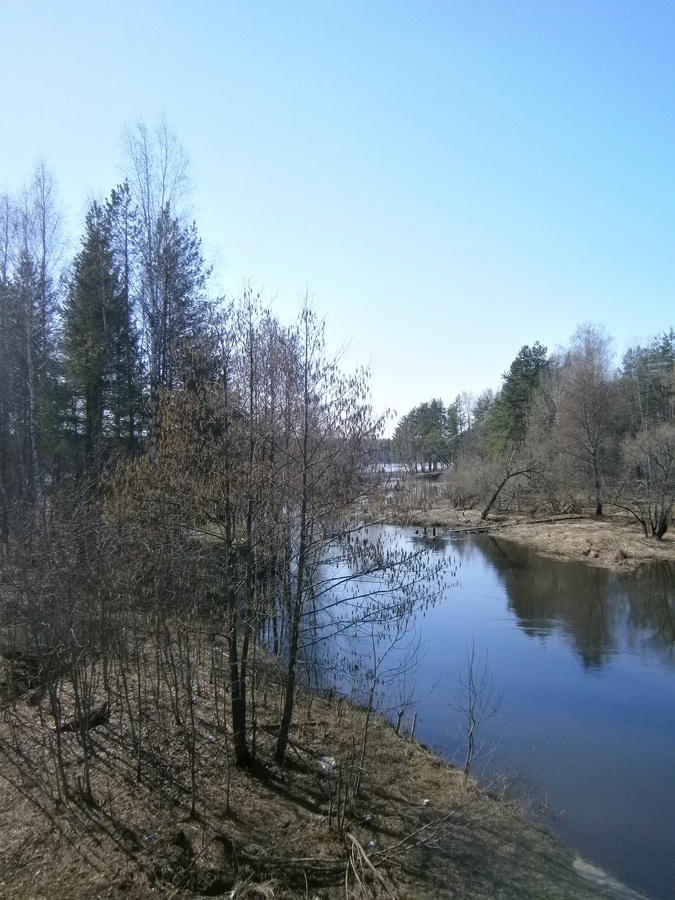 P1125039.JPG