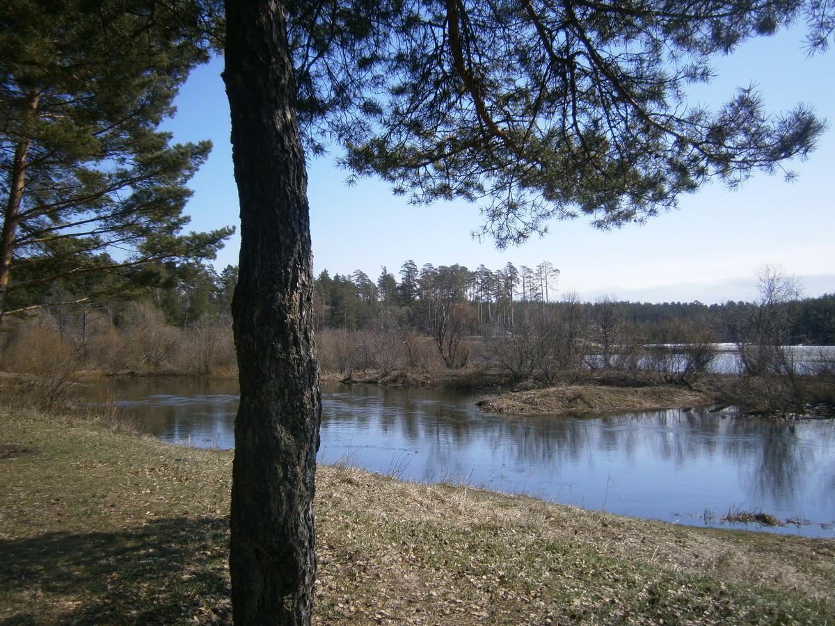 P1125041.JPG