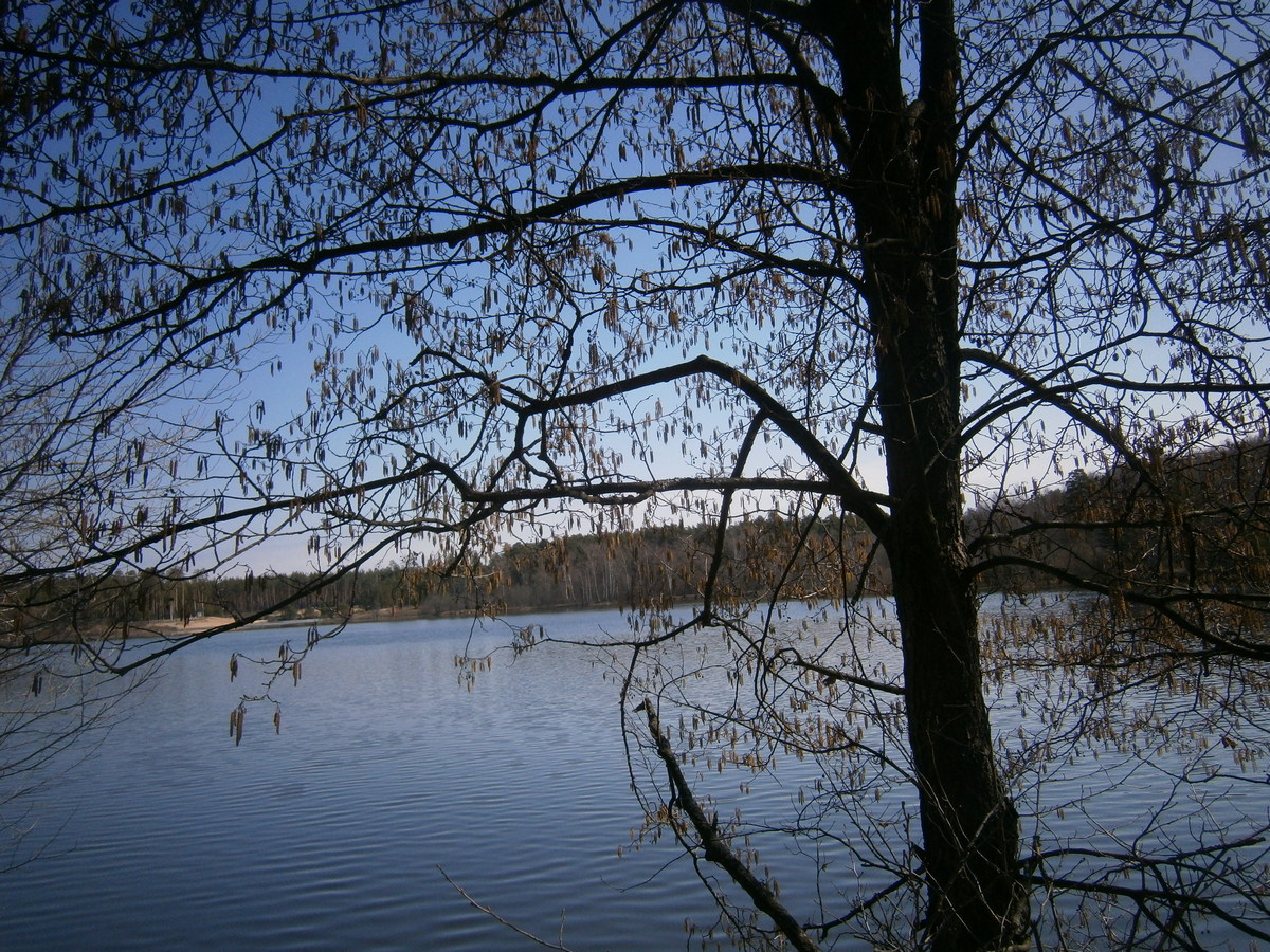 P1125046.JPG
