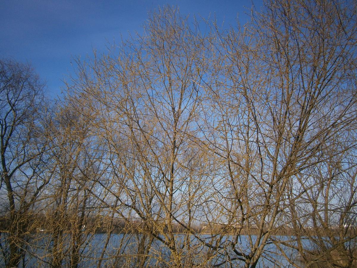 P1162939h.jpg