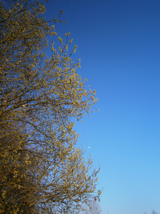 P1175050.JPG