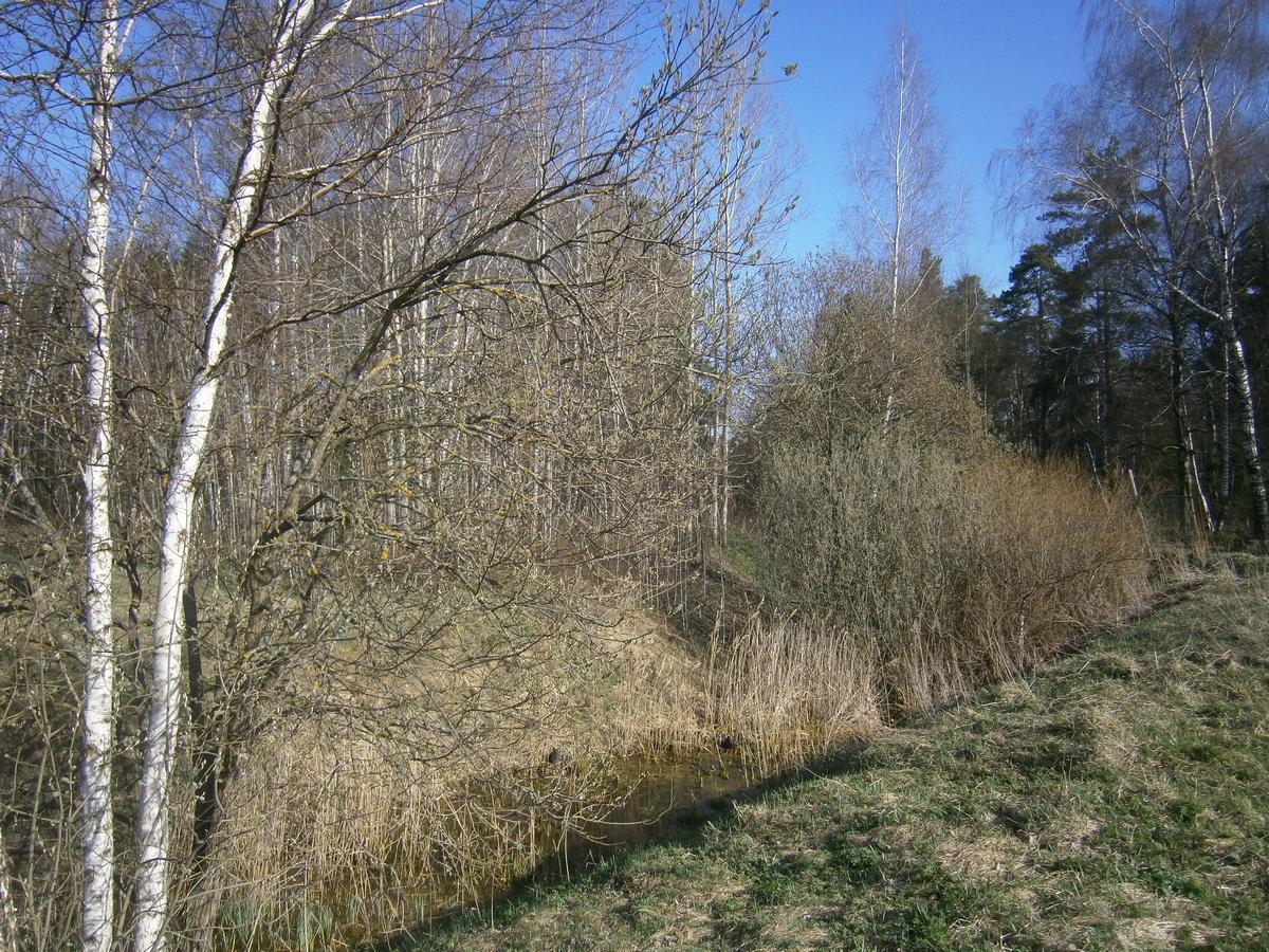 P1312944y.jpg