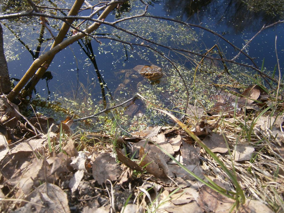 P1312956g.jpg