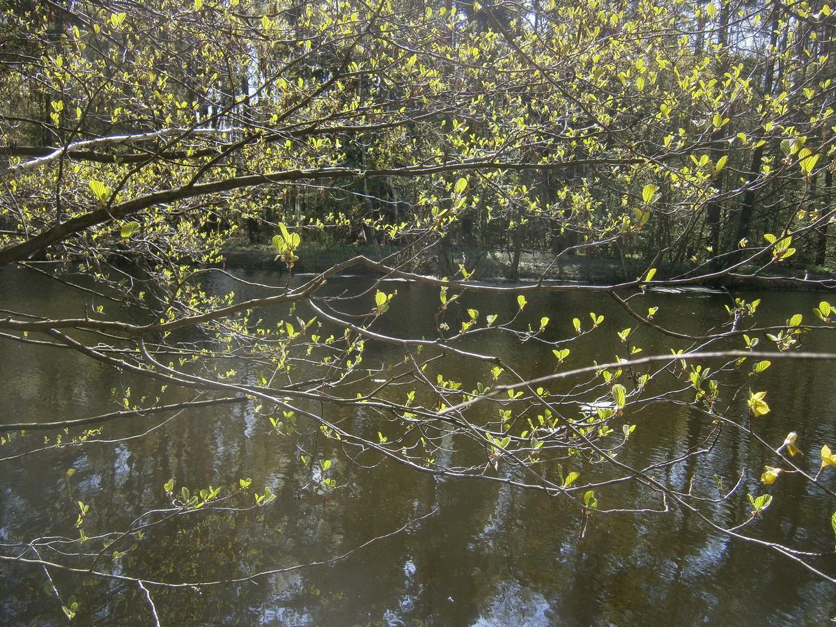 P2052973r.jpg