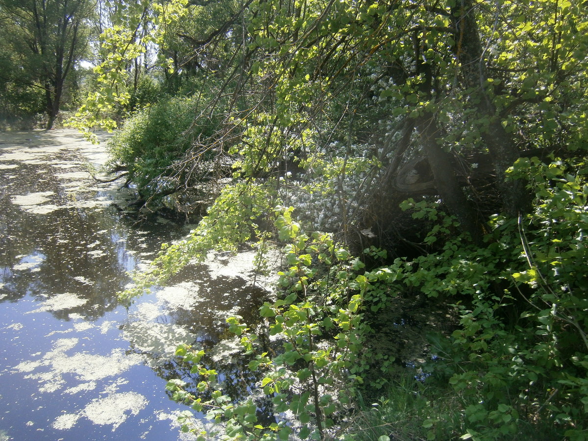 P2074111.JPG